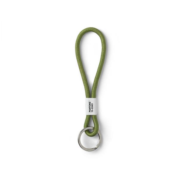  Pantone Key Chain, kurz, Green 15-0343 kaufen bei Lichtraum24.de kaufen